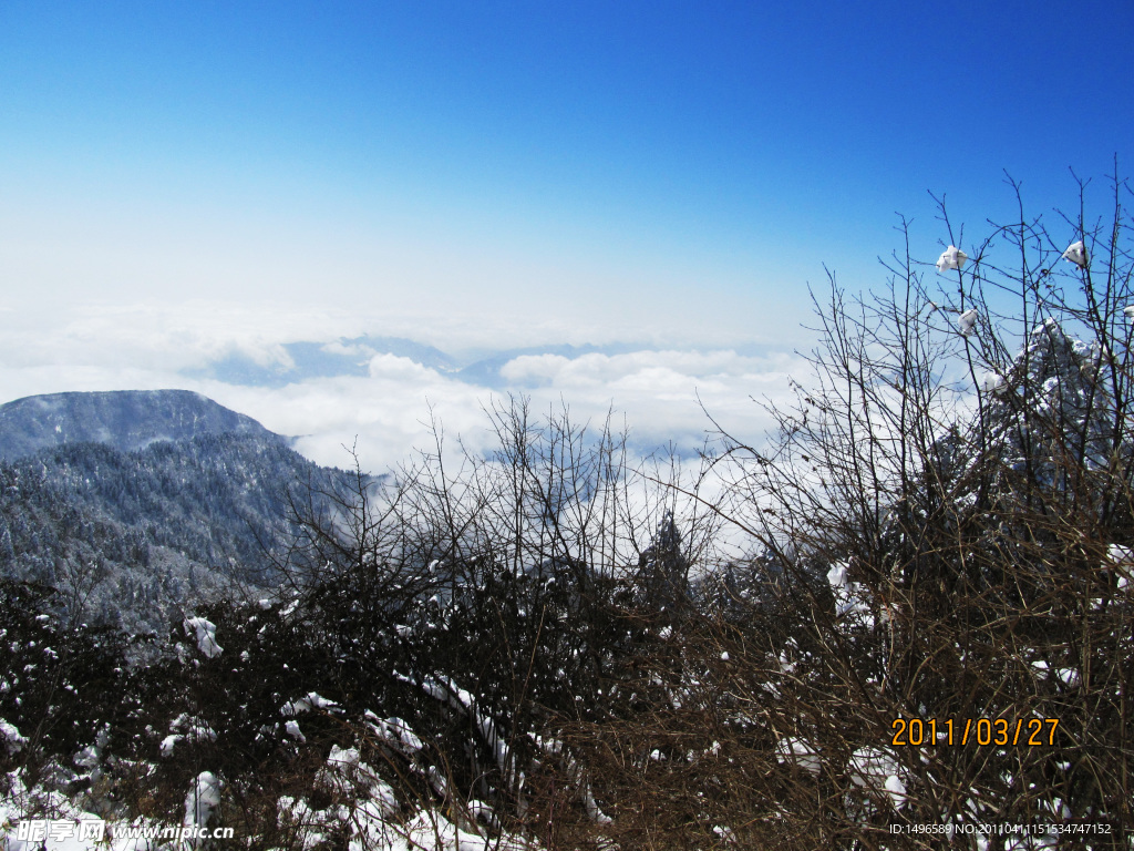 雪景