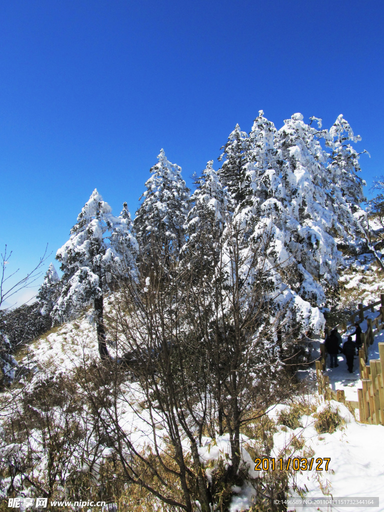 雪景