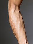 肌肉男胳膊