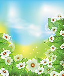 夏季花卉矢量素材