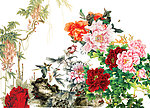 牡丹花