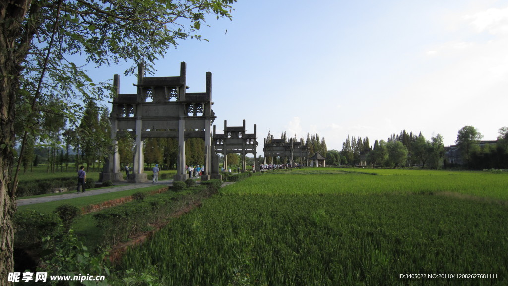 绿地