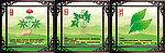 草本植物