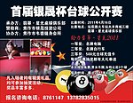 银晟杯台球公开赛DM单