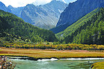 青山绿水