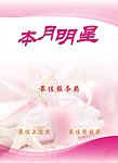 丽人女子 本月明星