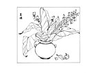 设计图稿 花语