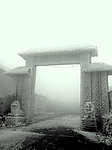 冬景