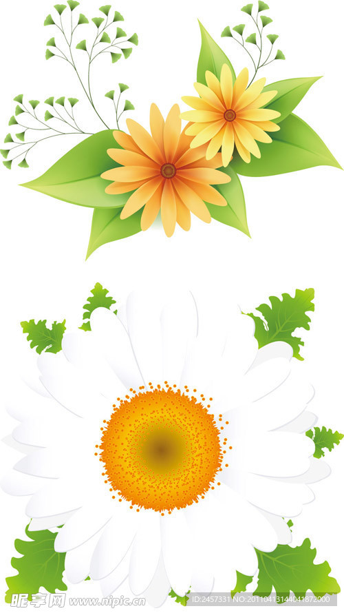 绿叶鲜花