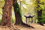 自然风景