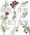 唯美花朵