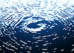 水纹 水 底纹 海洋