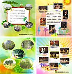 公司春游和晚会海报