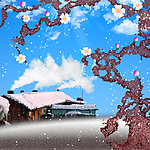 梅花