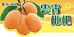 云霄枇杷