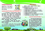 文明宣传栏