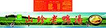 山珍老鸭汤