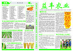 农业玉米报纸模板