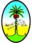 阿拉伯水烟 椰子树