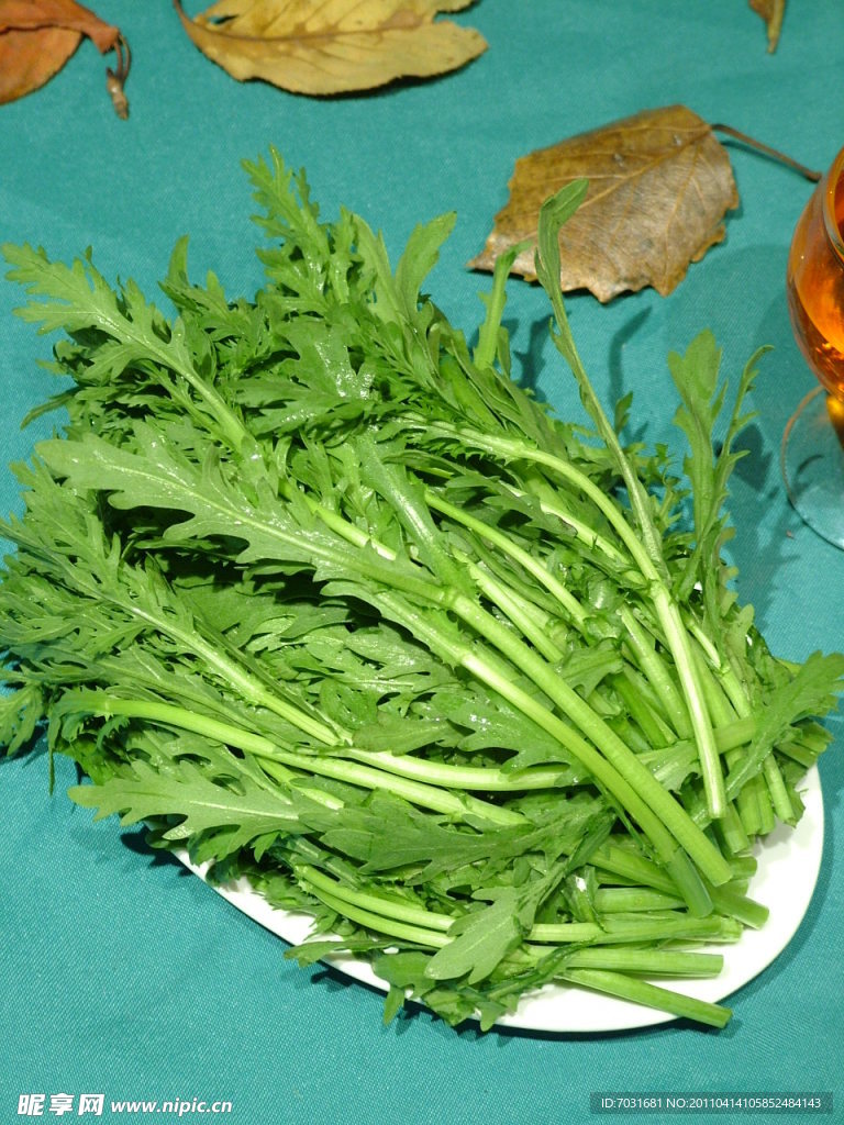 茼蒿