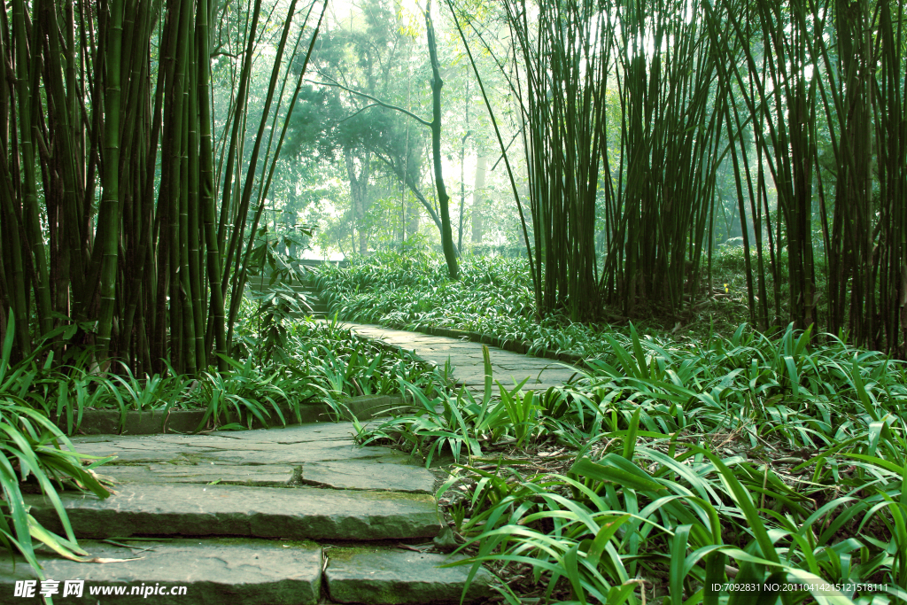 八卦谷风景