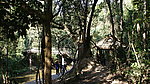 野象谷热带雨林景区