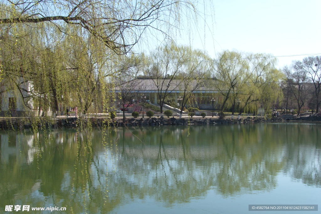西湖边风景