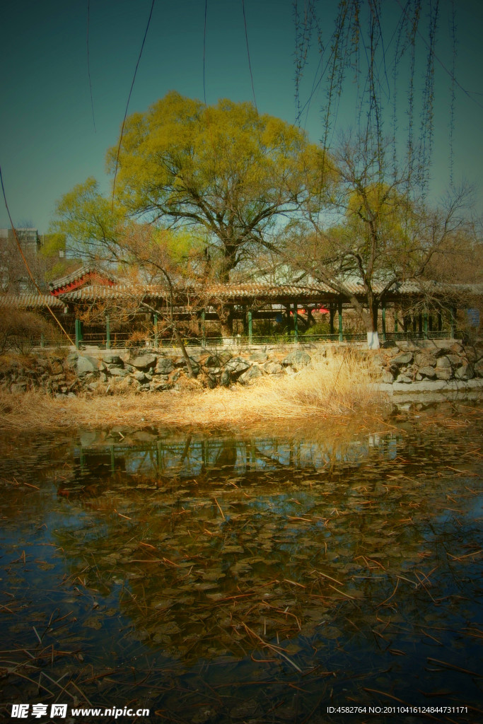 北京大学一角