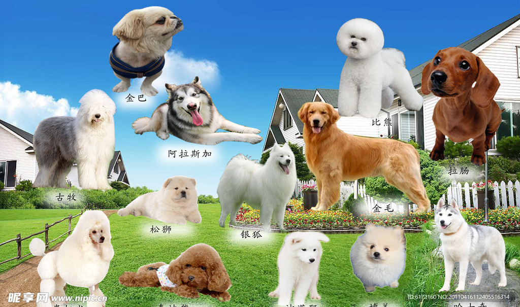 世界名犬