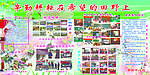 学校展板