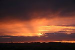 高原夕阳红
