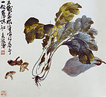 菜根