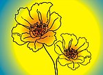 插画 花