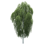 园林树木绿树透明png