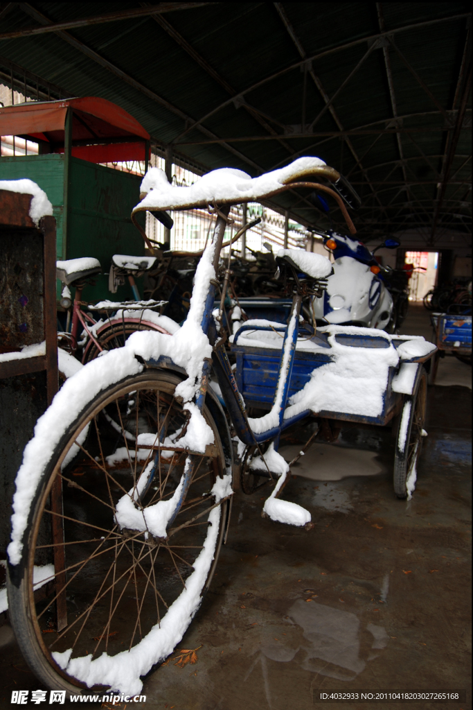 下雪 自行车 冬季