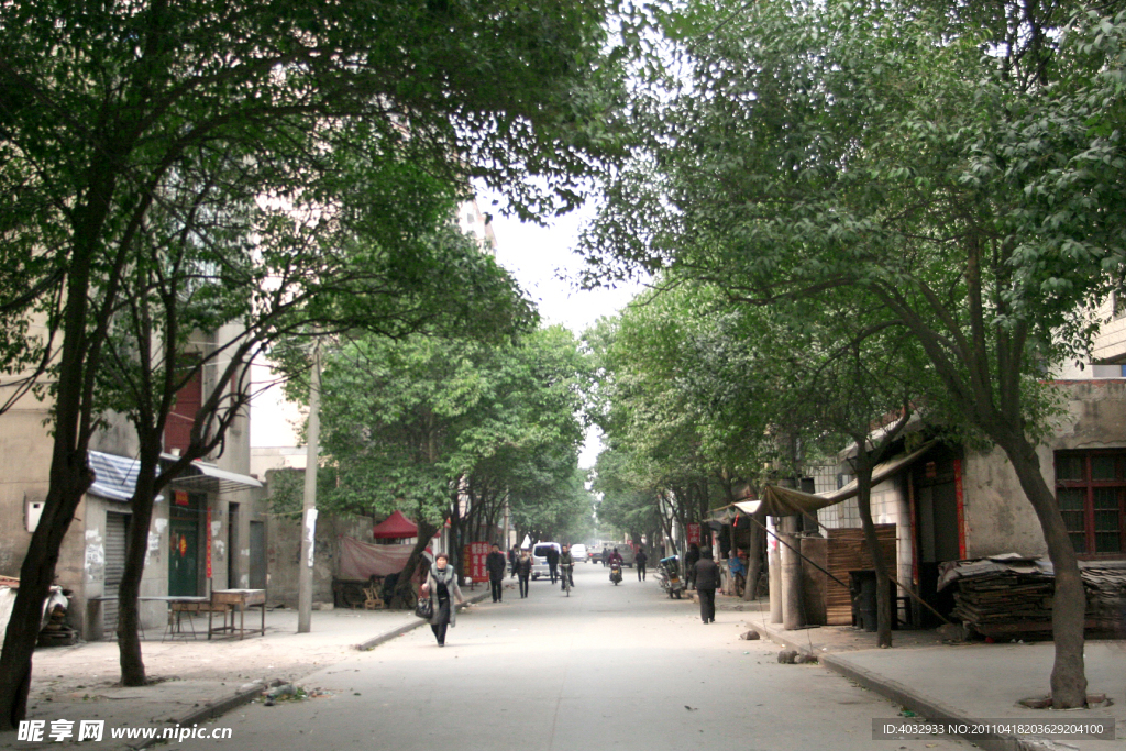 街道 绿树成荫 小区