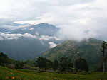 高山白云