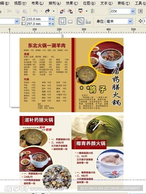 鸽子单张
