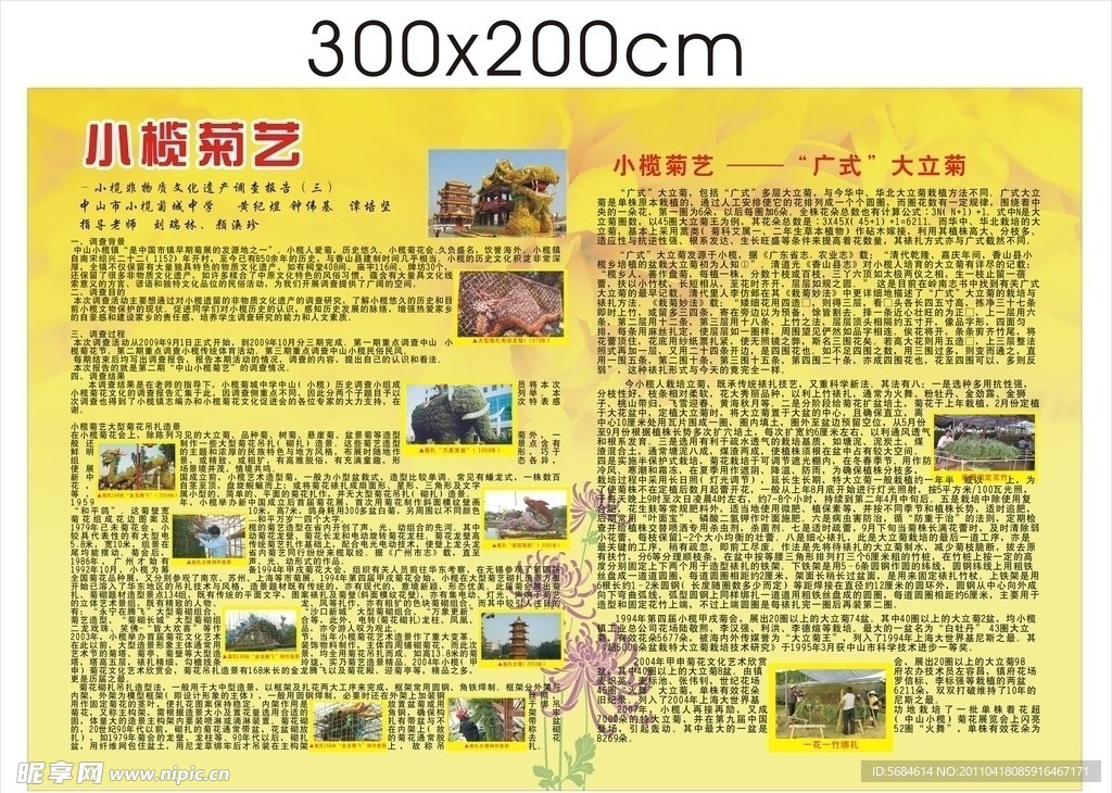 菊艺展示