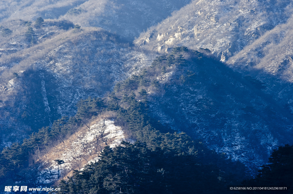 2011年雪景