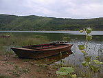 青山绿水