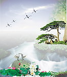 自然风景