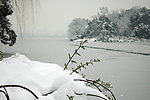 雪景