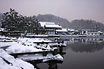 雪景