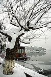 雪景