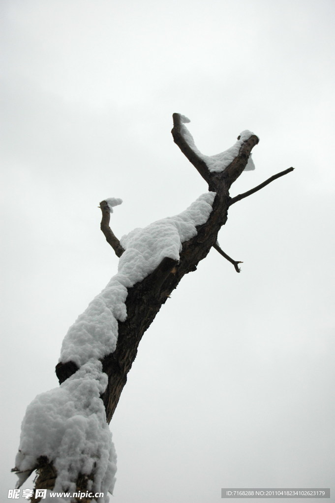 雪景