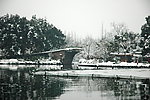 雪景