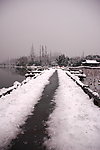 雪景