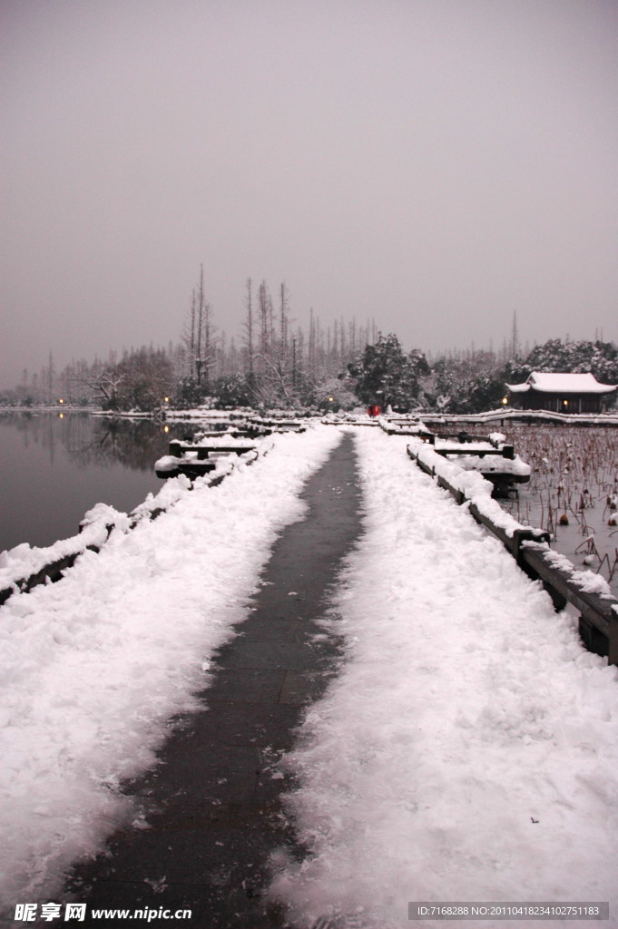 雪景