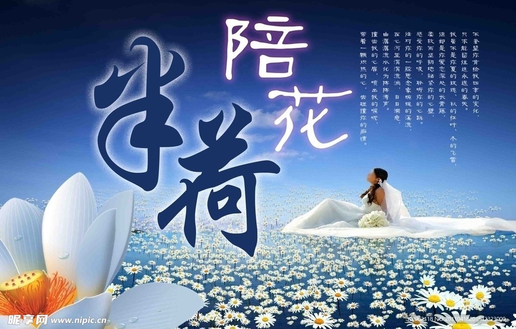 新娘 花海
